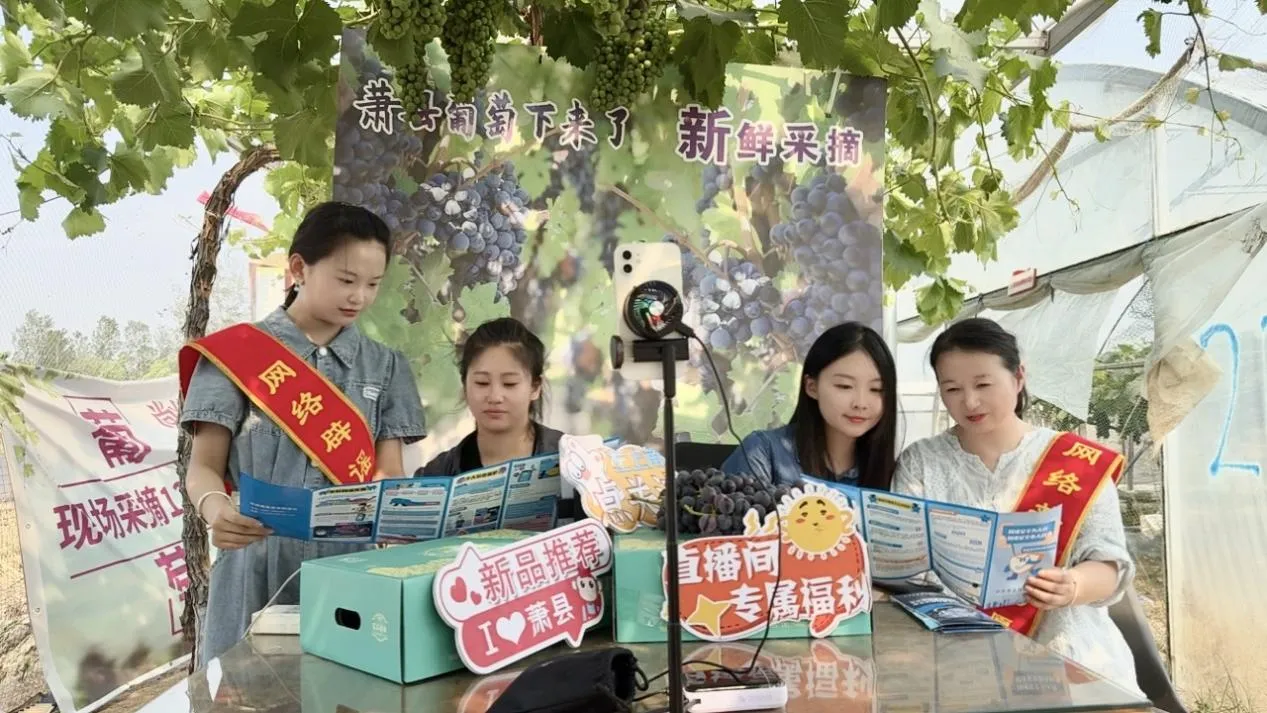 /uploads/image/2025/07/10/8632be8346131eccb6dc80299984228d.jpg e84454f00cfe97ed1a4d4efbd287668e.jpg